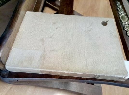 Benvenuto Cellini - Giulio Caprin 1925 Mondadori - Giulio Caprin - copertina