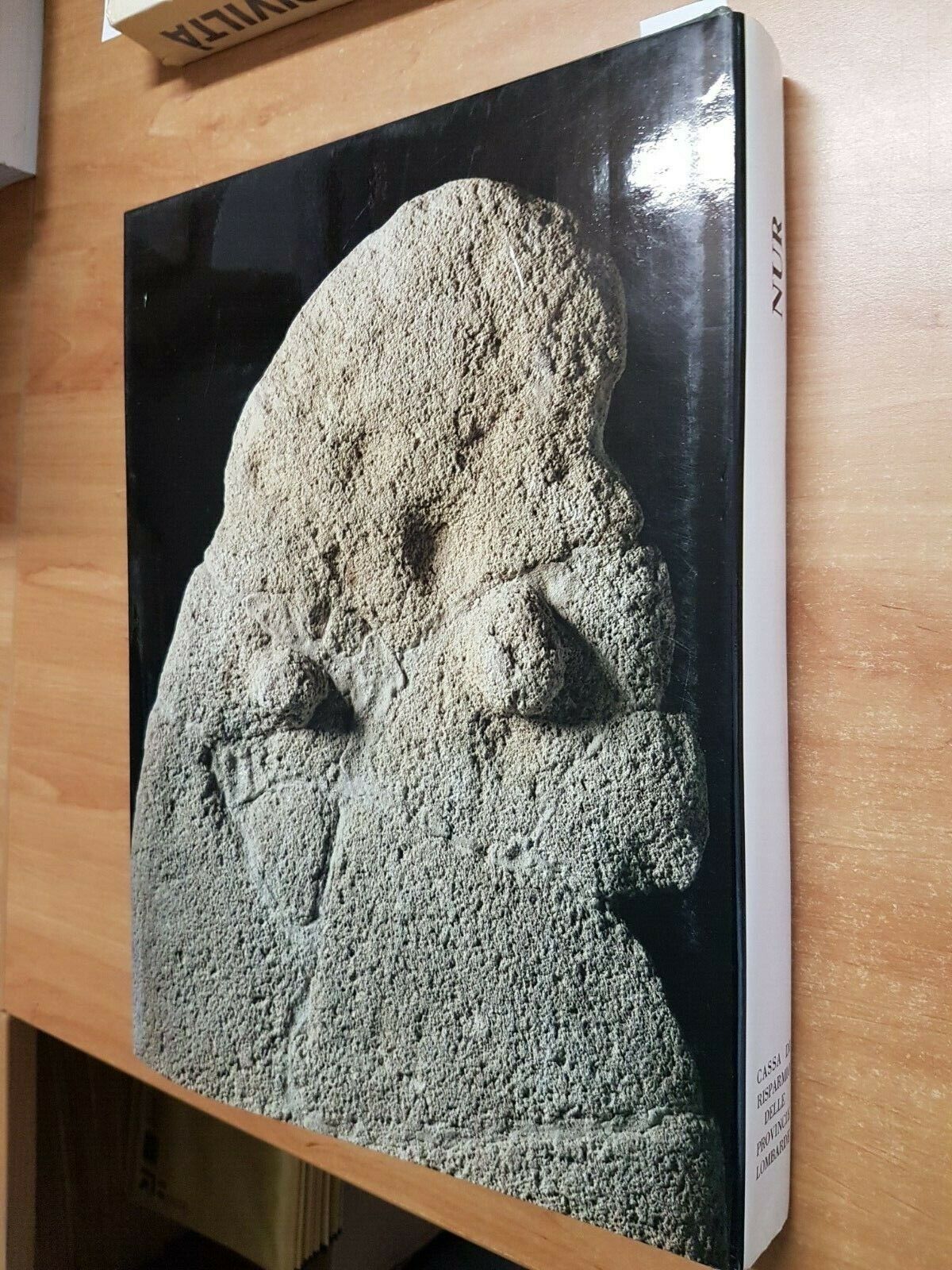 Ilsognalibro