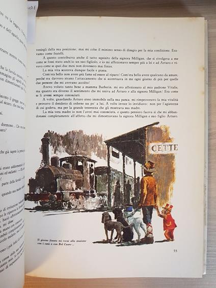 Senza Famiglia - Hector Malot 1965 Fabbri Illustrato Da Sani Serie Tv Remi'4017 - Malo - copertina