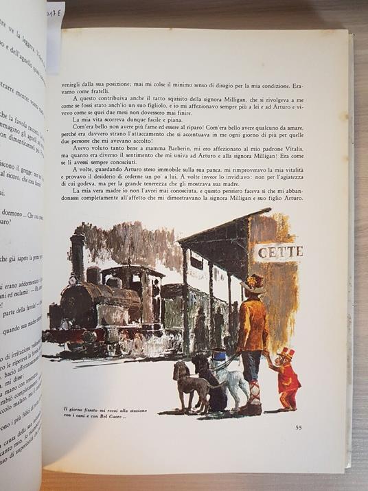 Senza Famiglia - Hector Malot 1965 Fabbri Illustrato Da Sani Serie Tv Remi'4017 - Malo - copertina