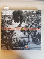 L' Incanto Dell'Olio Italiano - Luigi Caricato - Bibliotheca Culinaria 2001