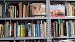Busta A Sorpresa Con 3 Libri + Un Omaggio Scegli Tu L'Argomento Leggi Di Più
