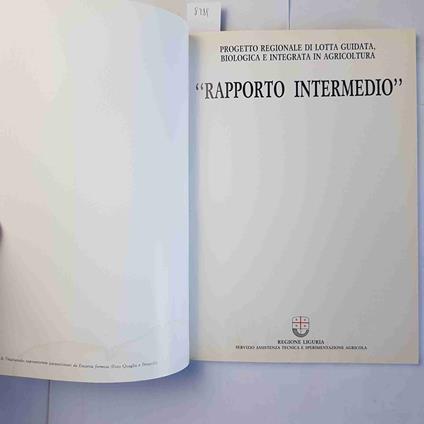 Rapporto Intermedio - copertina