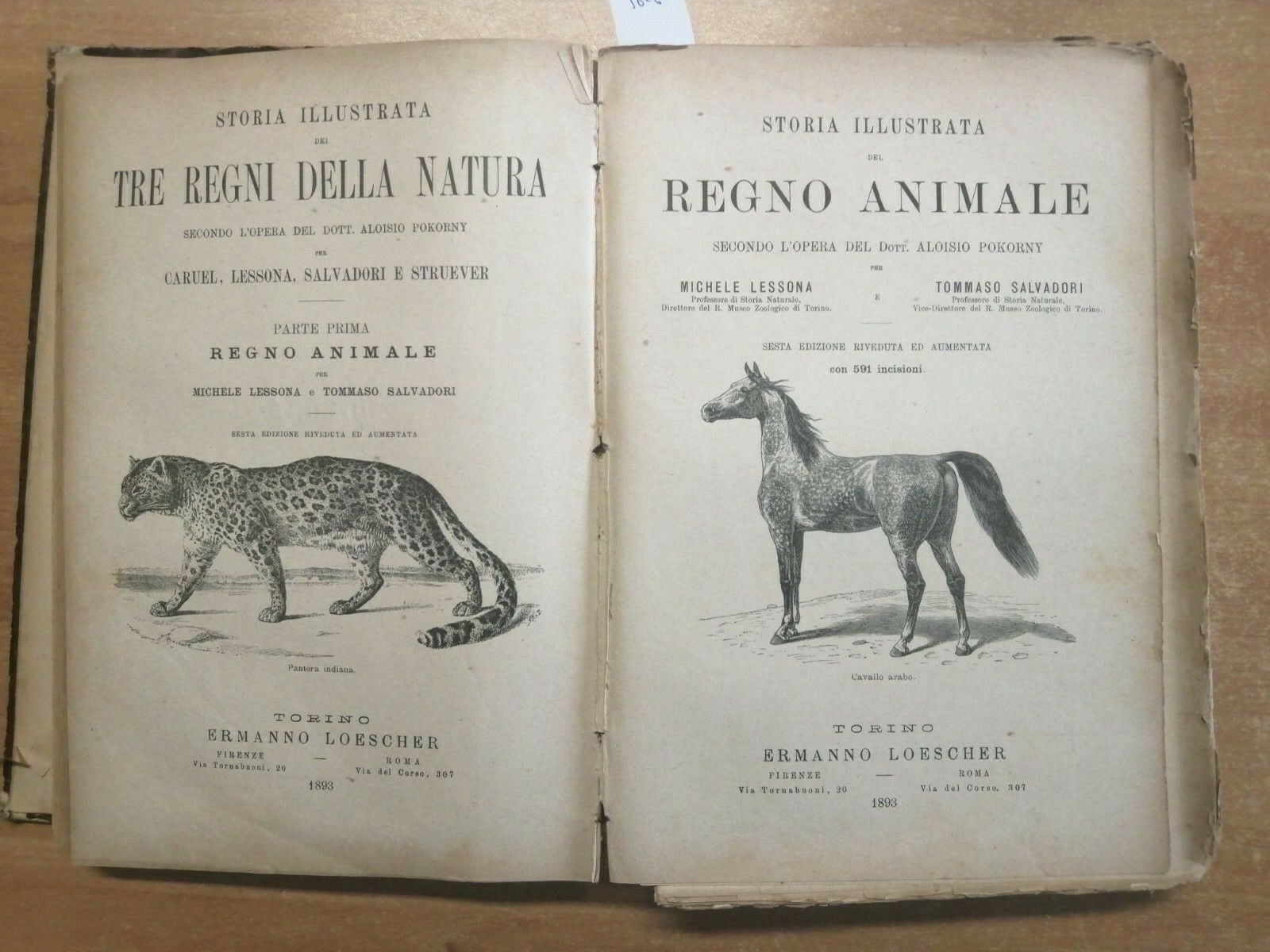 Ilsognalibro