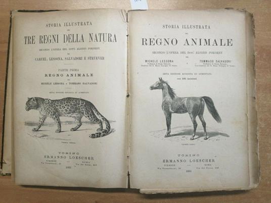 Storia Illustrata Del Regno Vegetale Animale Minerale 3 Libri In 1 Loescher - copertina