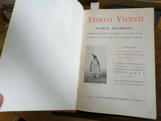 Animali Viventi Storia Naturale Volume 2 Uccelli Rettili Anfibi Pesci 1914( - copertina