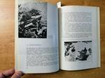 Castel Dante Di Rovereto Sacrari Militari Della 1 Guerra Mondiale Militaria6487
