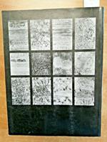 Giancarlo Gorsenio - A.Vv. - Greco & Greco - 1999 - Catalogo -