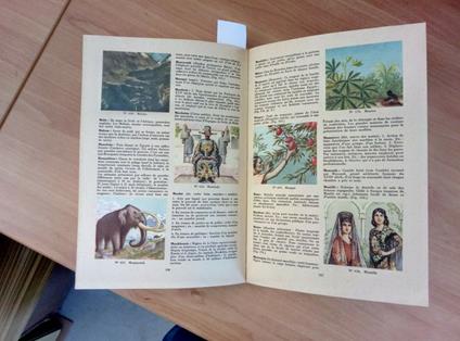 Encyclopedie Nago Pour La Jeunesse 1951 Olten - copertina