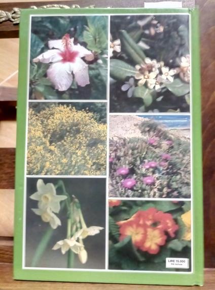 Fiori E Piante In Liguria Per Arredare Balconi Terrazzi 1992 Il Secolo Xix( - copertina