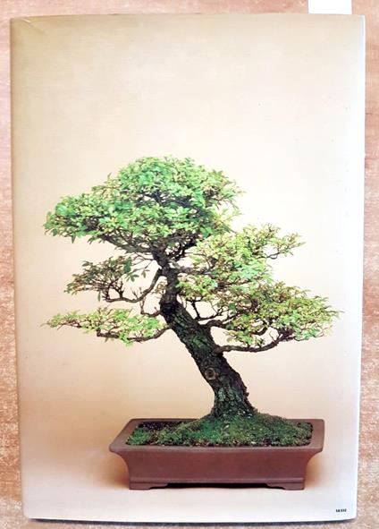 Bonsai - Christine Stewart - copertina
