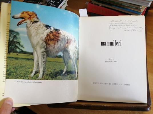 Mammiferi - Meraviglie Della Natura - 1963 Marcel Belvianes - De Agostini - Marcel Belvianes - copertina