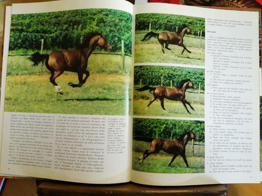 Il Cavallo Origini, Razze, Attitudini 1972 I Documentari De Agostini - Nereo Lugli - copertina