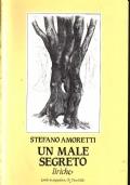 Un male segreto - Stefano Amoretti - copertina