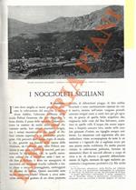 I noccioleti siciliani