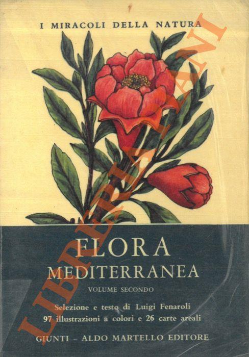 Libreria Piani