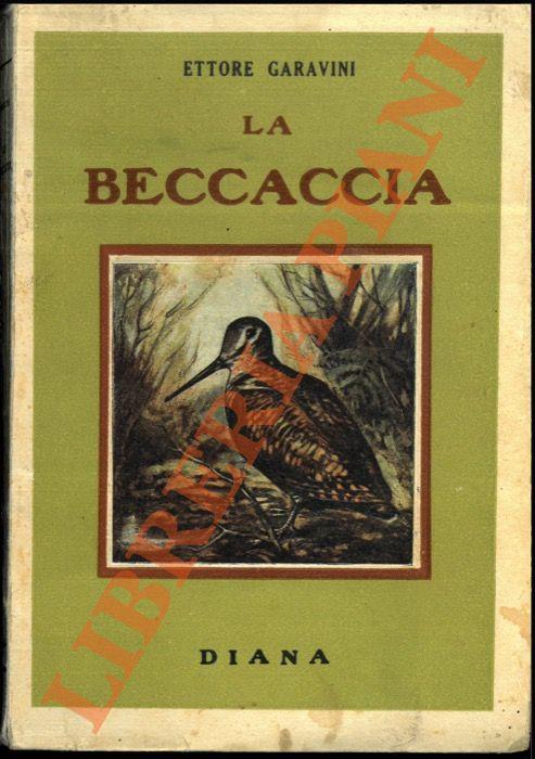 beccaccia. Anatomia. Nidificazione. Migrazione. Costumi. Caccia. Disegni di G. Minguzzi. - Ettore Garavini - copertina