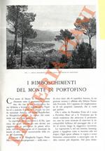 I rimboschimenti del monte di Portofino