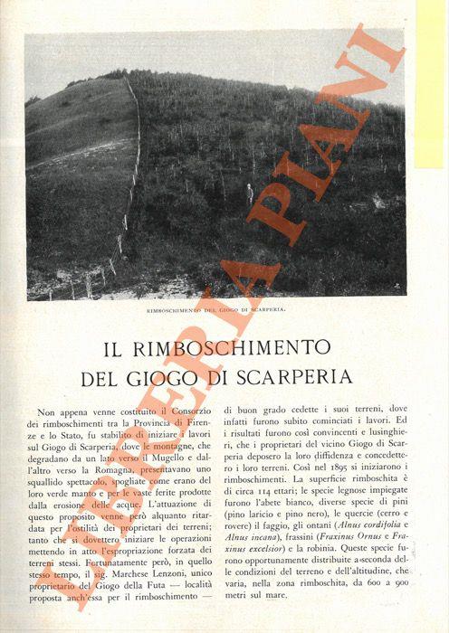 Libreria Piani