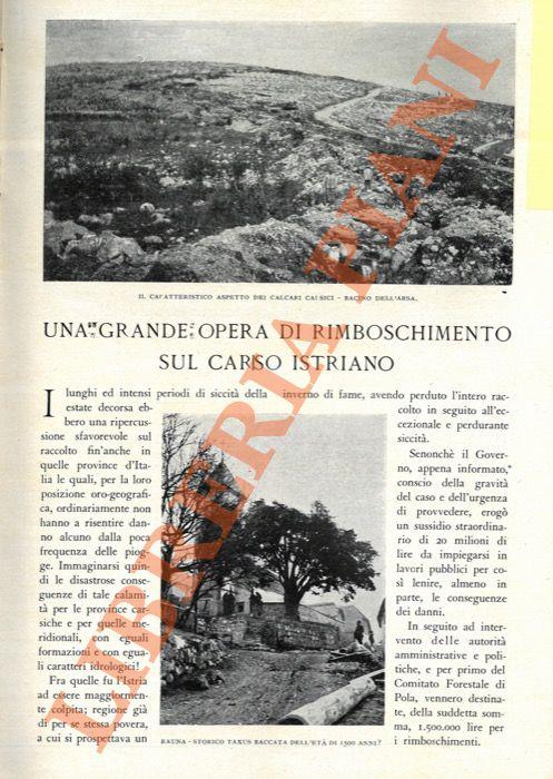 Libreria Piani