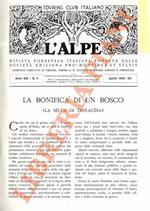 bonifica di un bosco (la selva di Terracina)
