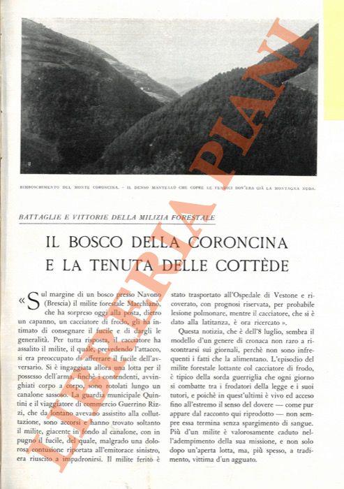 Libreria Piani
