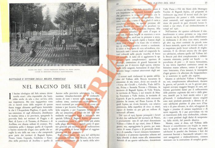 Libreria Piani