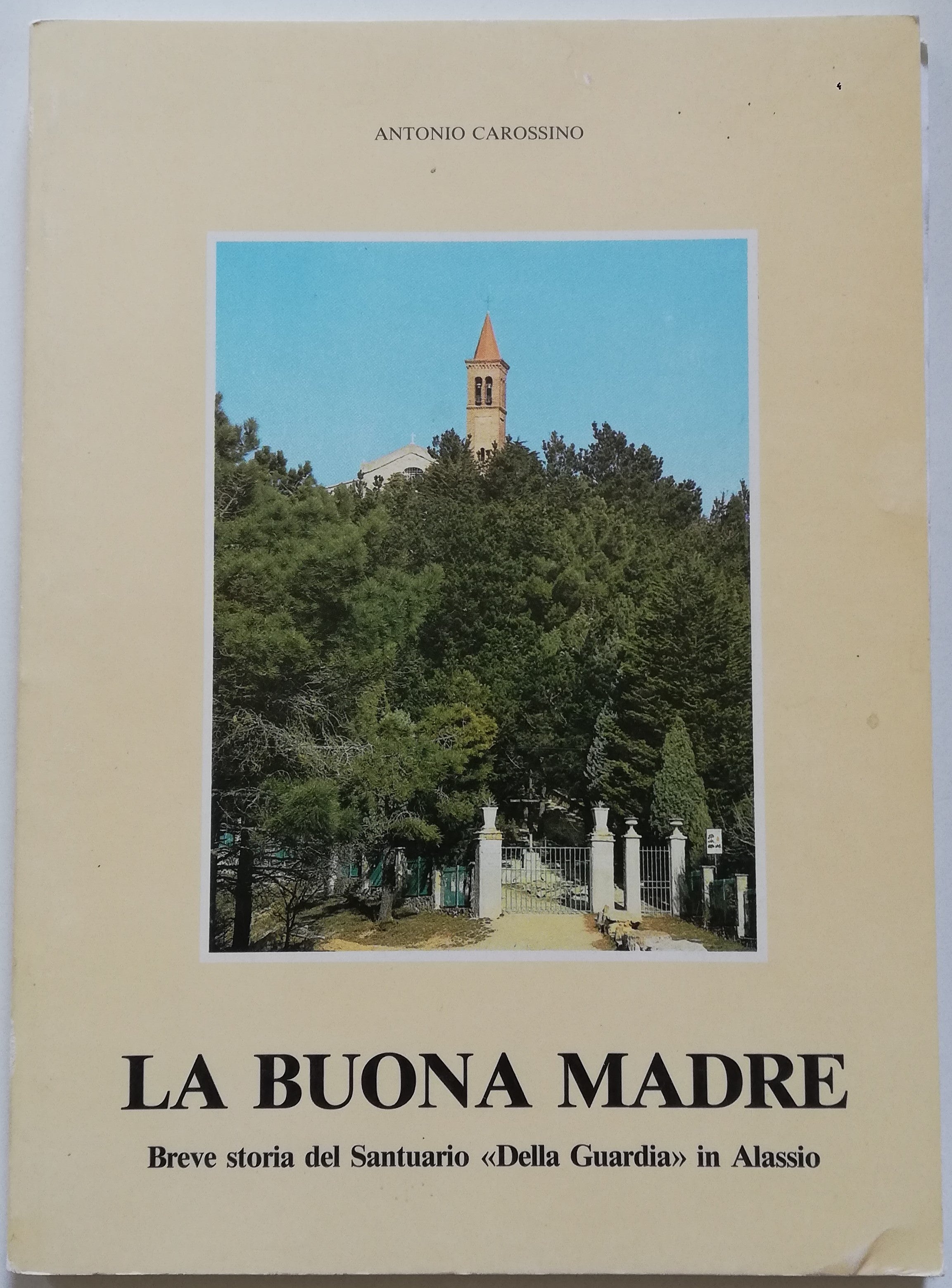Libreria Biellese