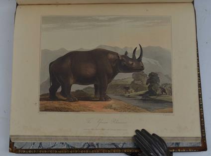 Travels into the Interior of Southern Africa. In which are described the character and the condition of the dutch colonists of the Cape of Good Hope, and of the several tribes of natives beyond Its limits: The natural history of such subjects as occu - John Barrow - copertina