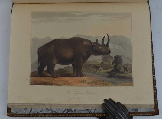 Travels into the Interior of Southern Africa. In which are described the character and the condition of the dutch colonists of the Cape of Good Hope, and of the several tribes of natives beyond Its limits: The natural history of such subjects as occu - John Barrow - copertina