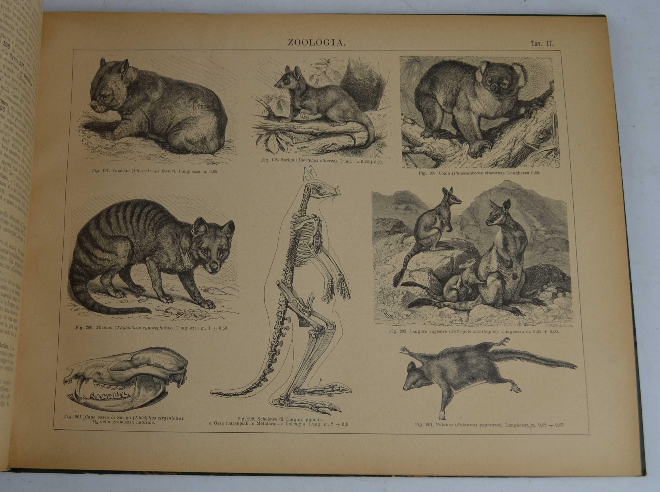 Studio bibliografico Benacense