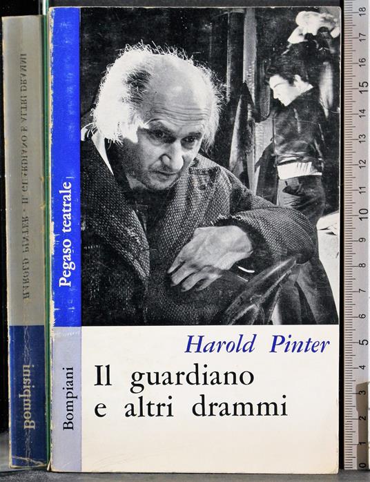 Il guardiano e altri drammi - Harold Pinter - copertina