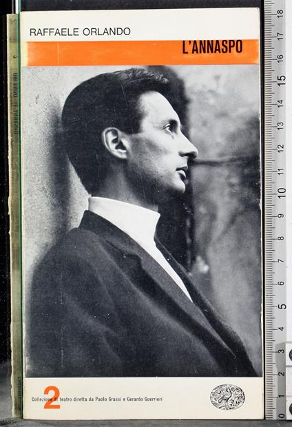 L' annaspo - Raffaele Orlando - copertina