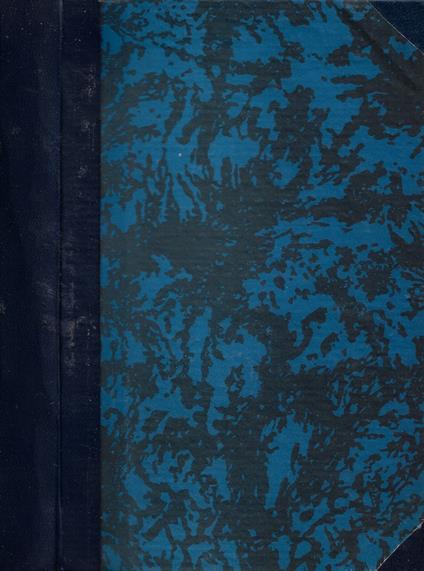 Malombra - Antonio Fogazzaro - copertina