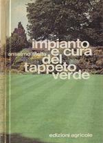 Impianto e cura del tappeto verde