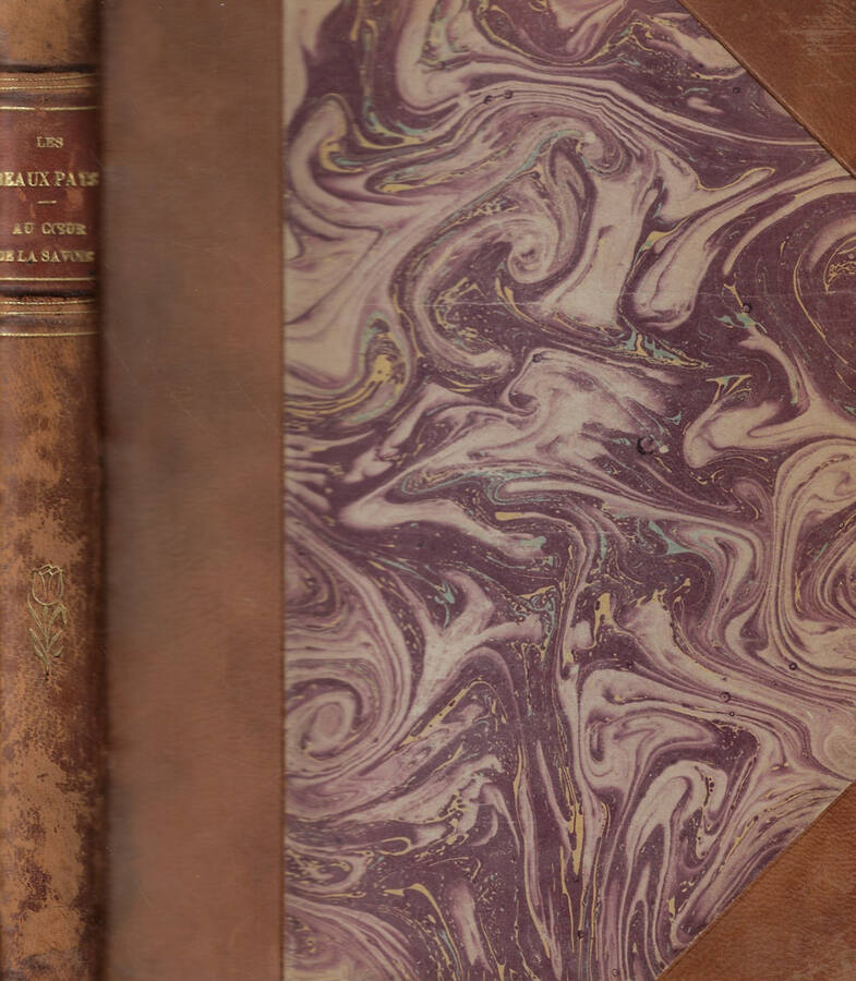 Biblioteca di Babele