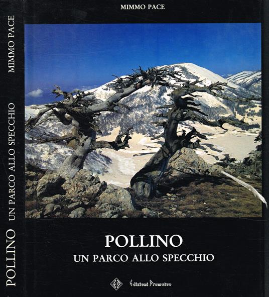 Pollino. Un parco allo specchio - Mimmo Pace - copertina