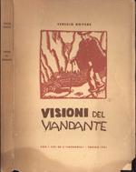 Visioni del viandante