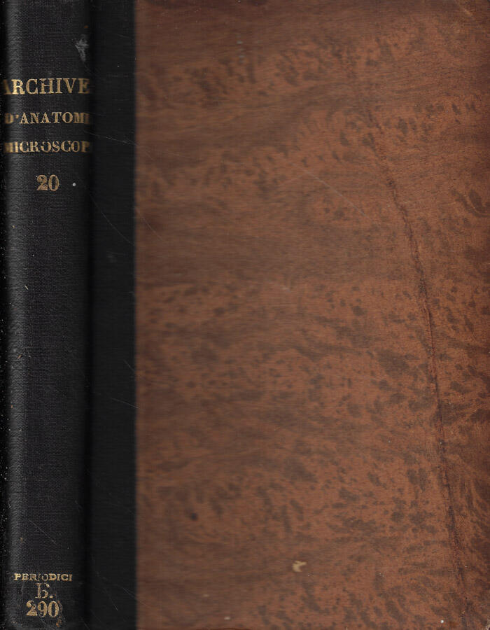 Biblioteca di Babele