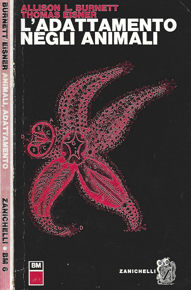 Biblioteca di Babele