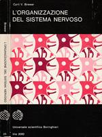 L' organizzazione del sistema nervoso