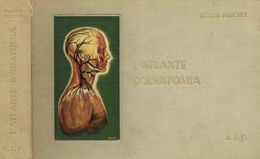 L' atlante di anatomia - copertina