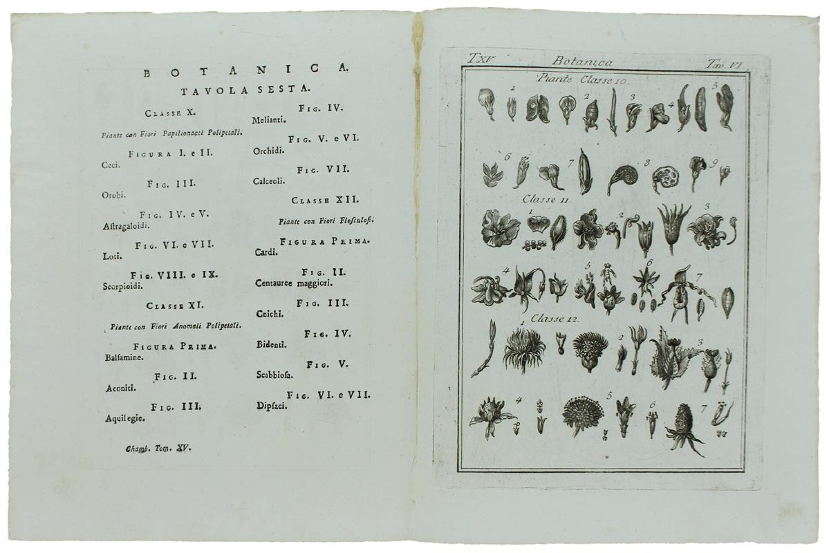 Botanica: 9 Tavole Tratte Dal Tomo Xv Del Dizionario Universale Delle Arti E Scienze Di Efraimo Chambers - Presso Felice Repetto, In Canneto, - 1774