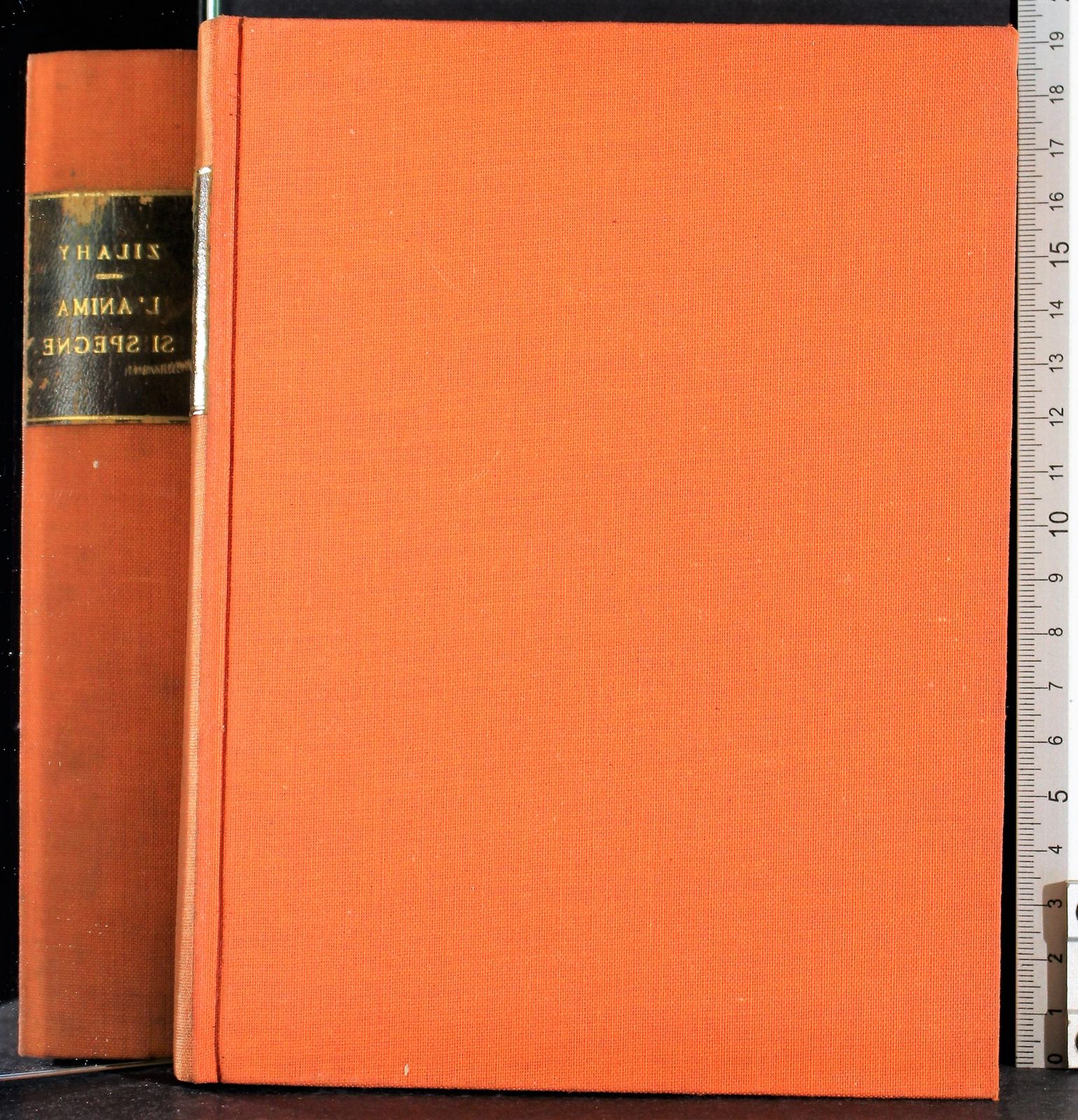Cartarum