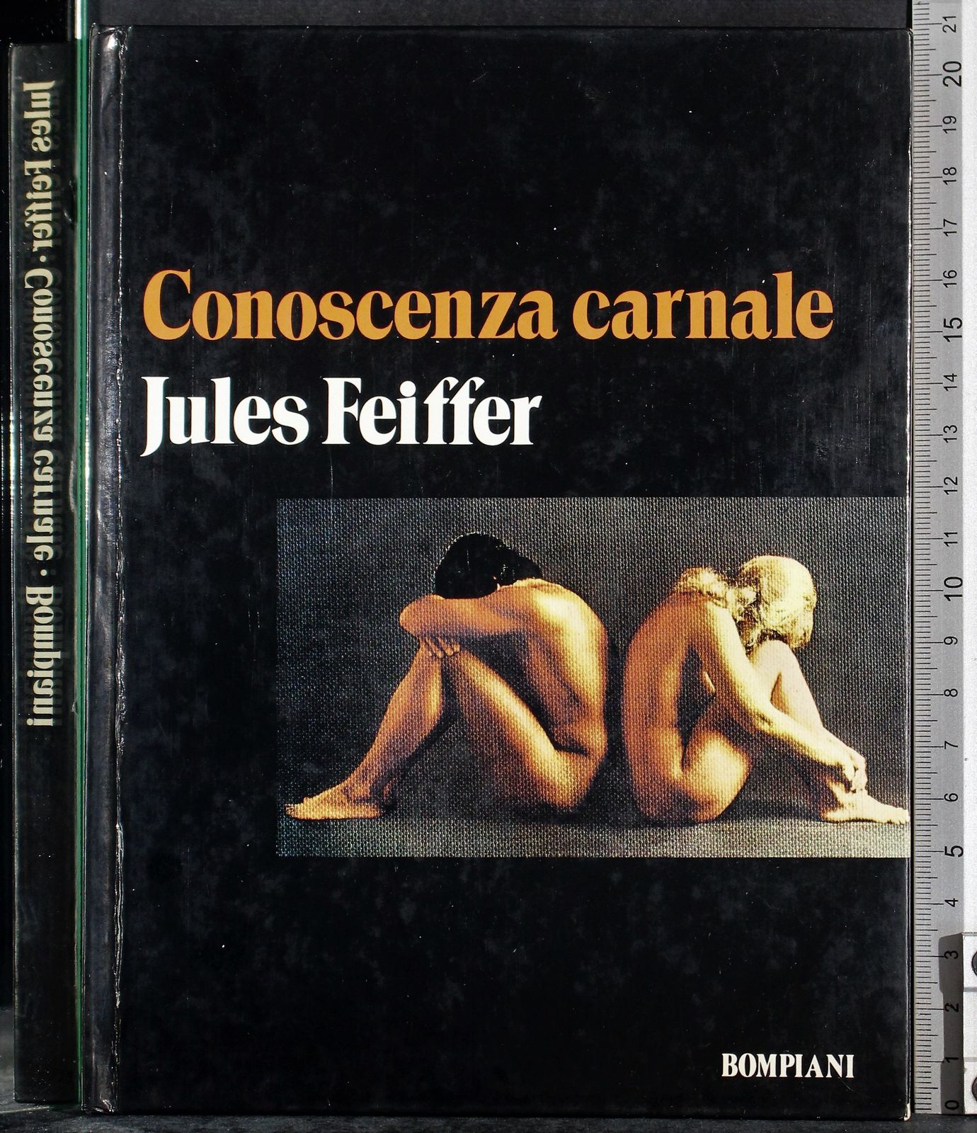 Cartarum
