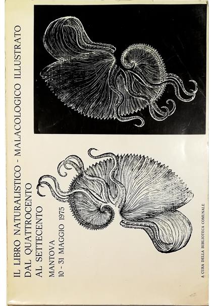 Il libro naturalistico-malacologico illustrato dal Quattrocento al Settecento Catalogo della mostra Mantova Biblioteca Comunale 10-31 maggio 1975 - copertina