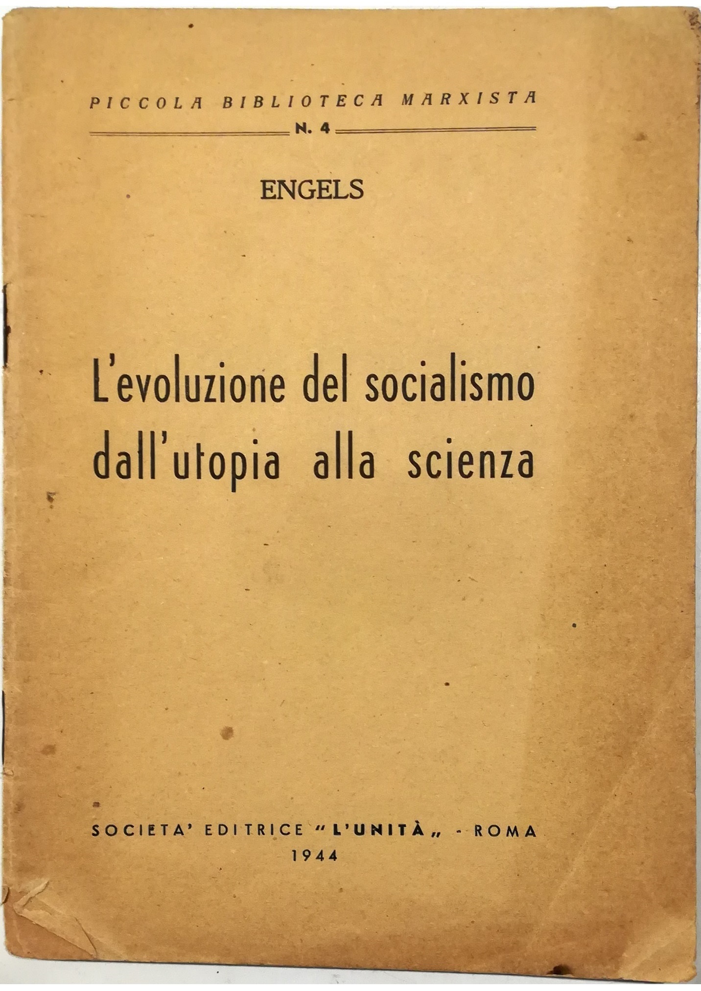 Libreria Tara