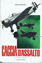 Caccia d'assalto