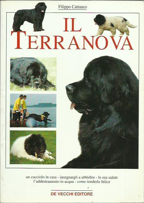 Il Terranova - Filippo Cattaneo - copertina