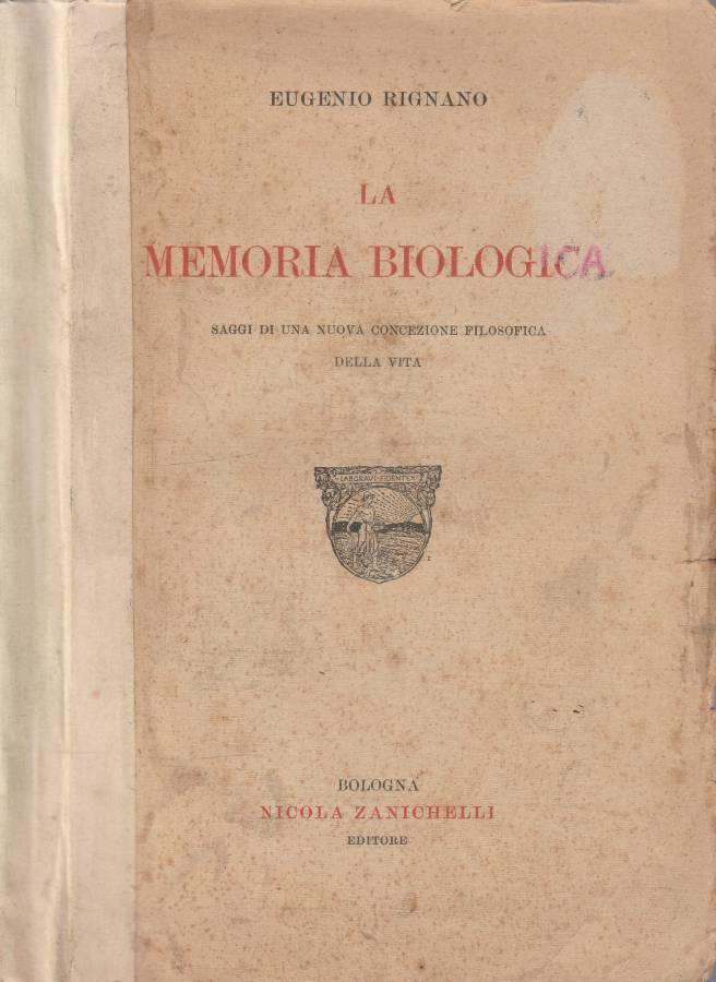 Biblioteca di Babele
